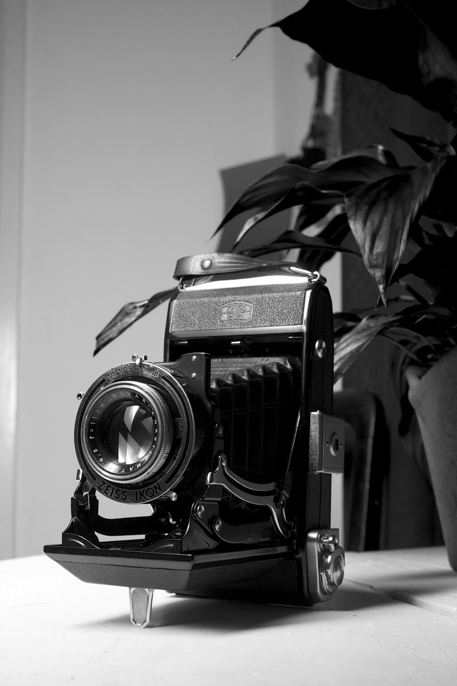 Zeiss Ikon Nettar 516/2 front