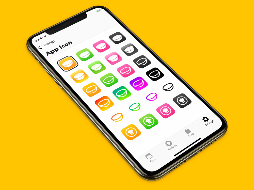 Lita 2.3 App Icon options